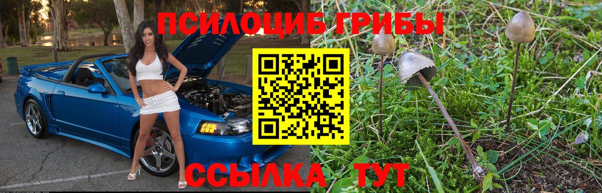 Переславль-Залесский  Галлюциногенные грибы прущие грибы  Вход с VPN 