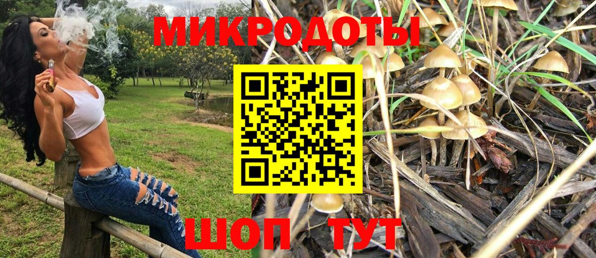 Галлюциногенные грибы Psilocybe Переславль-Залесский